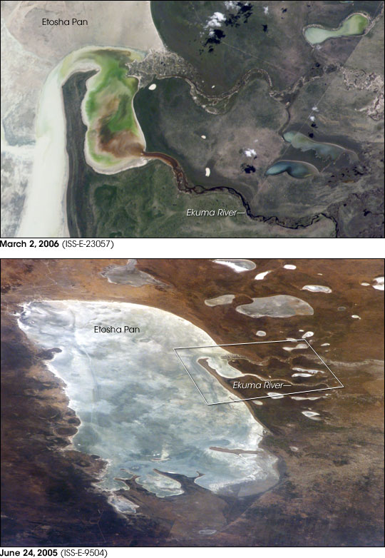 EtoshaPan 2005-06 comparison
