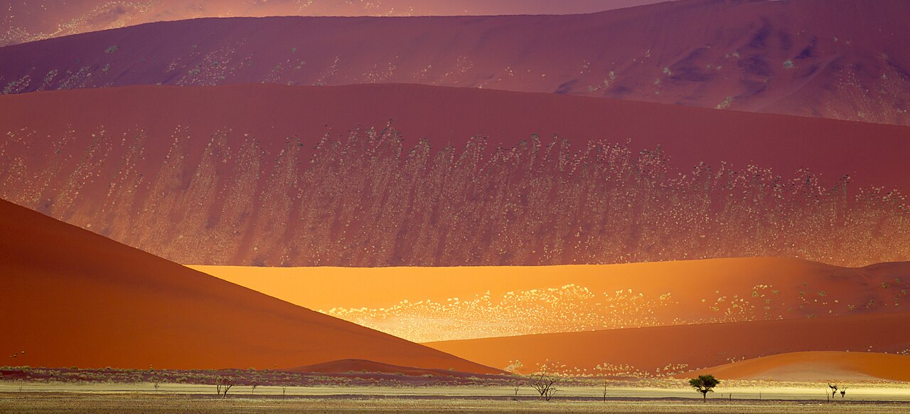 Namib-Naukluft Sand Dunes (2011)