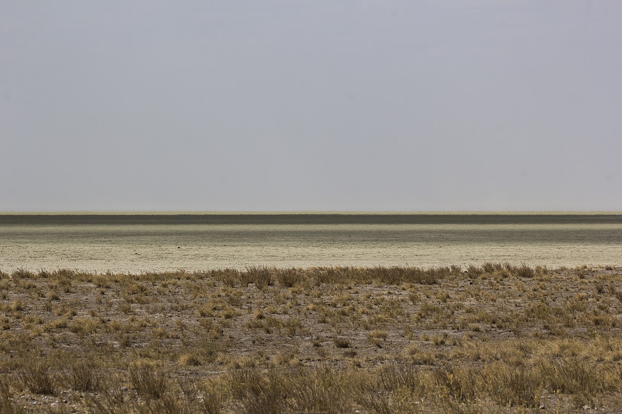 Etosha Pan from distance buiobuione