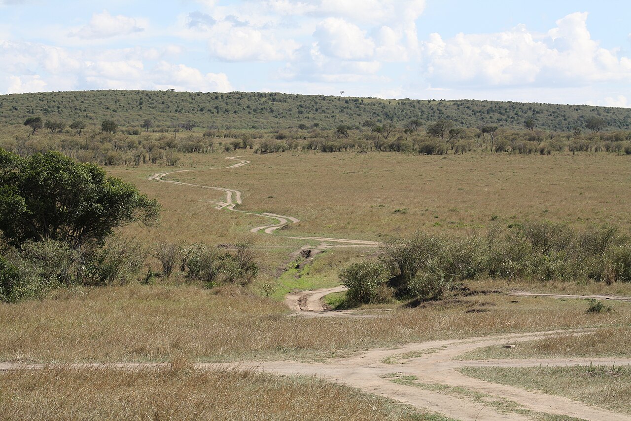 The Masai Mara ()